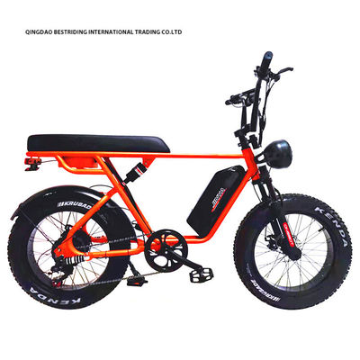 Custom 48V 1000W elektrische fiets 20 inch Fat Tire Ebike met en 52V Lithiumbattery Charger