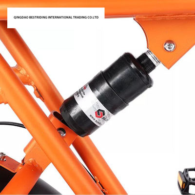 Custom 48V 1000W elektrische fiets 20 inch Fat Tire Ebike met en 52V Lithiumbattery Charger