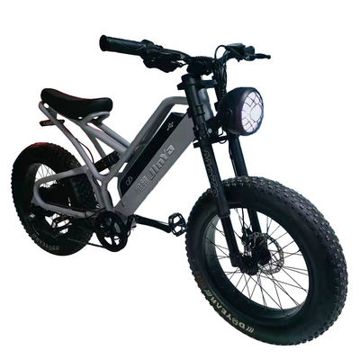 Elektronische vetbanden elektrische fiets 20 inch vetband 500w ebike 48v met smart type