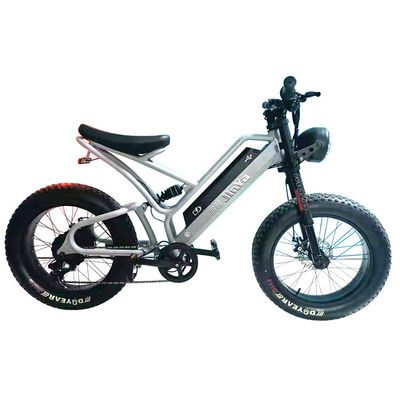 Elektronische vetbanden elektrische fiets 20 inch vetband 500w ebike 48v met smart type