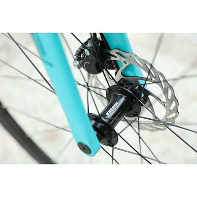 Race Roadbike Fiets met schijfrem en koolstofvezel vork OEM 21 Speed MTB Mountain Bike
