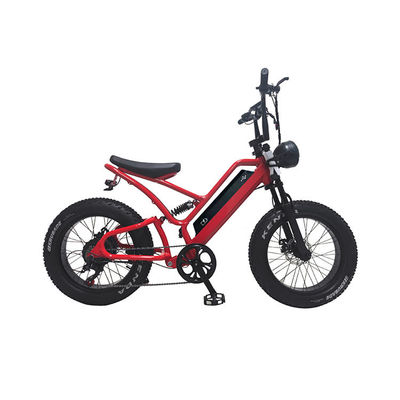 Elektronische vetbanden elektrische fiets 20 inch vetband 500w ebike 48v met smart type