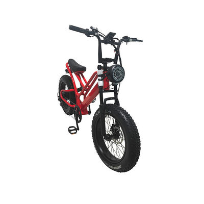 Elektronische vetbanden elektrische fiets 20 inch vetband 500w ebike 48v met smart type