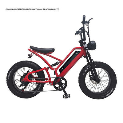 48V10Ah Lithiumbatterij 5000w Elektrische fiets voor volwassenen 20 inch Fat Tire Ebike
