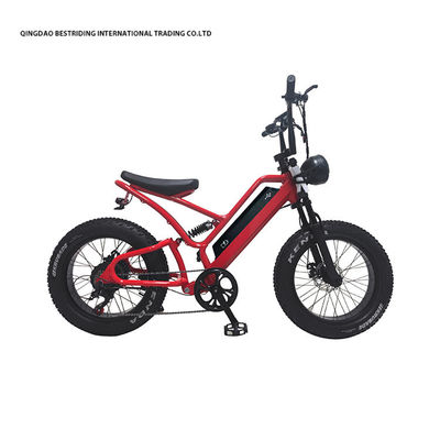 48V10Ah Lithiumbatterij 5000w Elektrische fiets voor volwassenen 20 inch Fat Tire Ebike