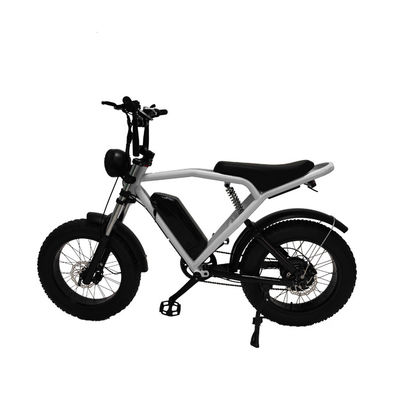Achterhoekmotor 20*4,0' vetband Elektrische fiets E-bike voor de markt