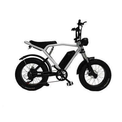 Achterhoekmotor 20*4,0' vetband Elektrische fiets E-bike voor de markt