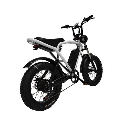 Achterhoekmotor 20*4,0' vetband Elektrische fiets E-bike voor de markt