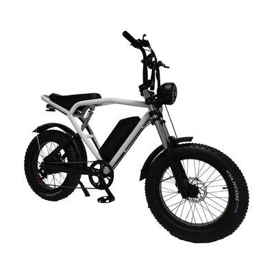 Achterhoekmotor 20*4,0' vetband Elektrische fiets E-bike voor de markt