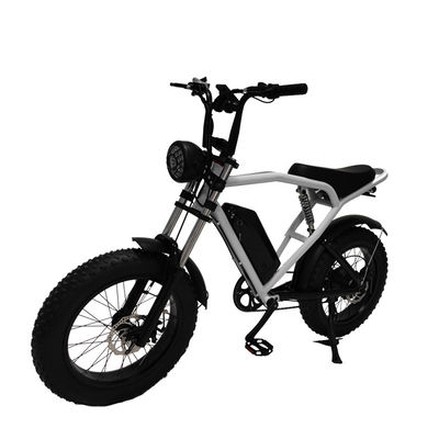 Achterhoekmotor 20*4,0' vetband Elektrische fiets E-bike voor de markt
