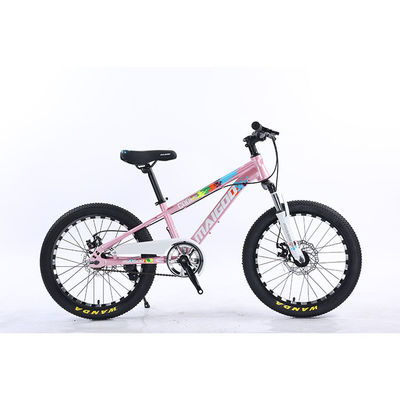 20" Kinderen Fiets Kinderen Fiets Single Speed Bicicleta met staal ophanging vork