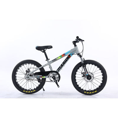 20" Kinderen Fiets Kinderen Fiets Single Speed Bicicleta met staal ophanging vork