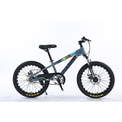 20" Kinderen Fiets Kinderen Fiets Single Speed Bicicleta met staal ophanging vork