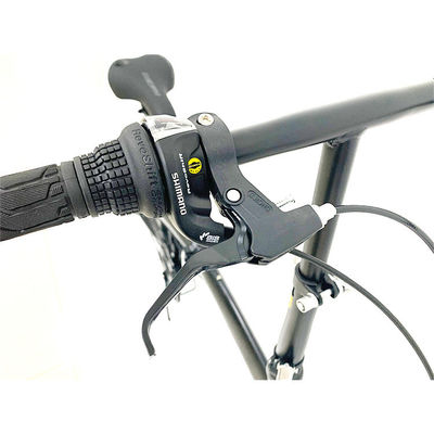 Moderne outdoor activiteiten 20 inch vouwfiets met stalen frame en 7 snelheidsversnellingen