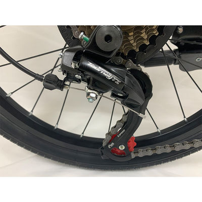 Moderne outdoor activiteiten 20 inch vouwfiets met stalen frame en 7 snelheidsversnellingen