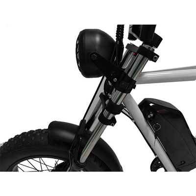 1460*320*840mm Verwijderbare batterij Warm E-Bike Vetband Bergfiets Elektrische fiets