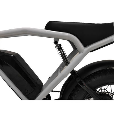 1460*320*840mm Verwijderbare batterij Warm E-Bike Vetband Bergfiets Elektrische fiets
