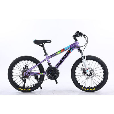 20*2.125 WANDA banden staal frame 21 snelheid kinderfiets met mechanische schijfrem