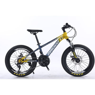 20 "21s Kids Bike Kinderenfiets met aangepast logo en aluminium legering velg materiaal