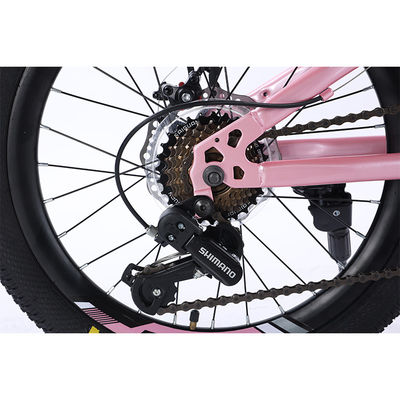 Jongeren Kinderen 20 "Shimano 7-speed Super Light Kids Bike met mechanische schijfrem