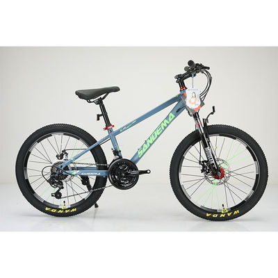 Stalen frame 20 inch WANDA 20 * 2.125 banden Kinderen fiets voor duurzame 21 snelheden MTB