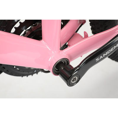 Stalen frame 20 inch WANDA 20 * 2.125 banden Kinderen fiets voor duurzame 21 snelheden MTB