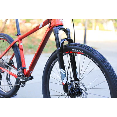Persoonlijke oefenfiets maten 29 inch Mountain Bike met 22 snelheidsversnellingen en gladde lassen