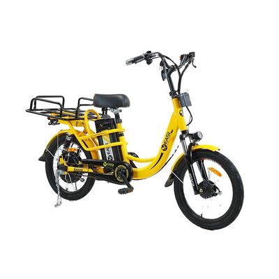 Elektrische fiets met aandrijflijn Uw ideale vrijetijdsgenoot
