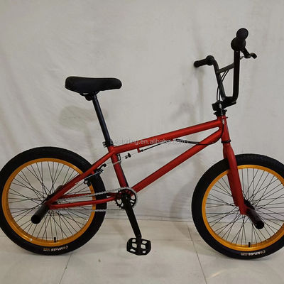 Steel Fork 20 Inch BMX Fiets voor Kinderen Freestyle Show Fiets Performance Straatfiets