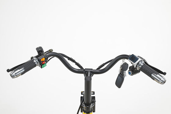 Elektrische fiets met aandrijflijn Uw ideale vrijetijdsgenoot