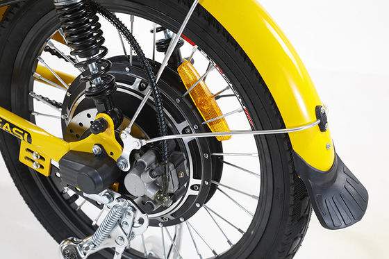Elektrische fiets met aandrijflijn Uw ideale vrijetijdsgenoot