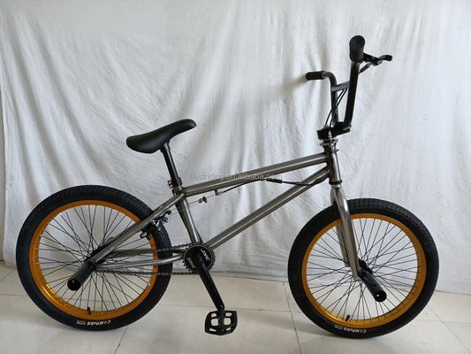 Steel Fork 20 Inch BMX Fiets voor Kinderen Freestyle Show Fiets Performance Straatfiets