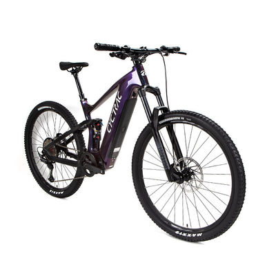 EM10 Carbon Fiber Inner Cables Midmotor Achter Shox Elektrische assistentfiets