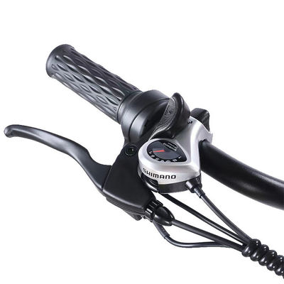 Voor 24 Achter 20 Sneeuwband Elektrische driewieler met SHIMANO Achter 7-snelheid en 48V15A batterij