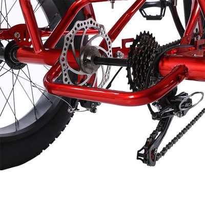 Voor 24 Achter 20 Sneeuwband Elektrische driewieler met SHIMANO Achter 7-snelheid en 48V15A batterij
