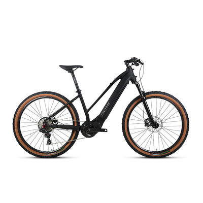 Elektrische fiets met 48V15Ah lithiumbatterie met M510 mid-drive motor en Sram NX onderdelen