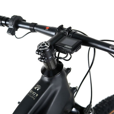 Elektrische fiets met 48V15Ah lithiumbatterie met M510 mid-drive motor en Sram NX onderdelen