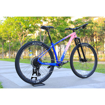 Lichte 29 inch Mountainbike met Carbon Fiber voorvork en YBN S12S keten
