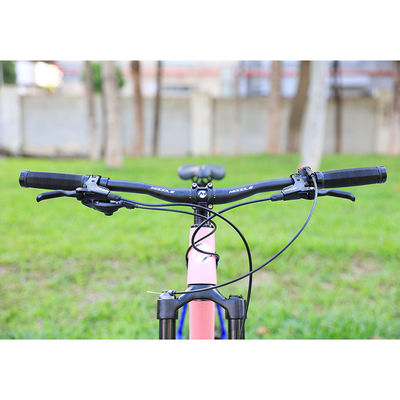 Lichte 29 inch Mountainbike met Carbon Fiber voorvork en YBN S12S keten