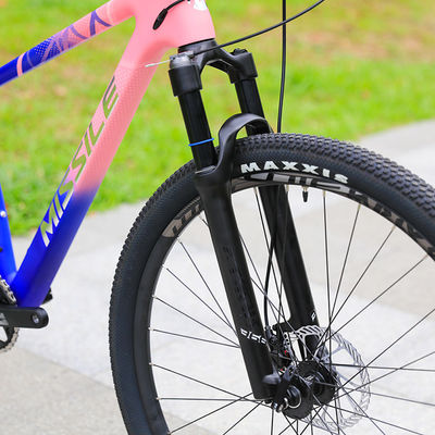 Neem je fietsen naar het volgende niveau met onze dubbele ophanging 29 inch mountainbike