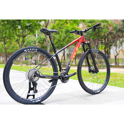 29 inch mountainbike met 22 snelheid koolstofvezel voorvork en hydraulische schijferremmen