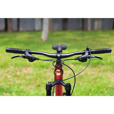 29 inch mountainbike met 22 snelheid koolstofvezel voorvork en hydraulische schijferremmen