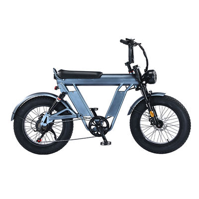 20 inch Fat Tire elektrische fiets met 48V aluminium frame en dubbele ophanging