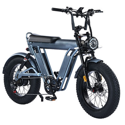 20 inch Fat Tire elektrische fiets met 48V aluminium frame en dubbele ophanging