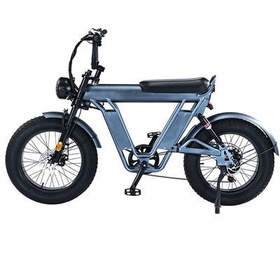 20 inch Fat Tire elektrische fiets met 48V aluminium frame en dubbele ophanging