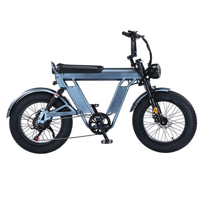20 inch Fat Tire elektrische fiets met 48V aluminium frame en dubbele ophanging