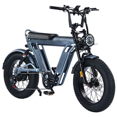 20 inch Fat Tire elektrische fiets met 48V aluminium frame en dubbele ophanging