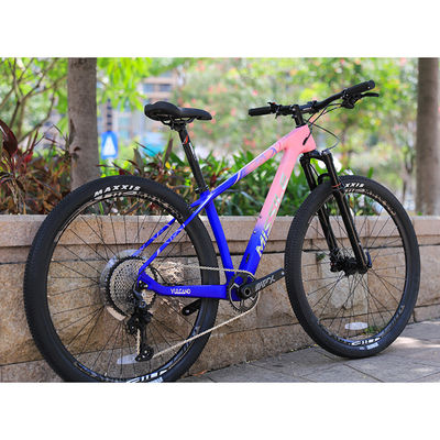 12 Speed Downhill Mountain Bike met Sunshine 11-50T Cassette en Aluminium Alloy Vork