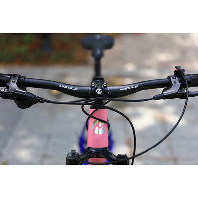 12 Speed Downhill Mountain Bike met Sunshine 11-50T Cassette en Aluminium Alloy Vork