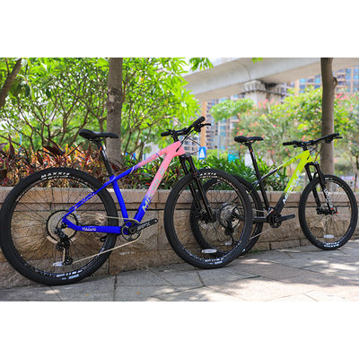 29 inch Dual Suspension Mountainbike met Maxxis banden en PROWHEEL PMX 36T Chainring